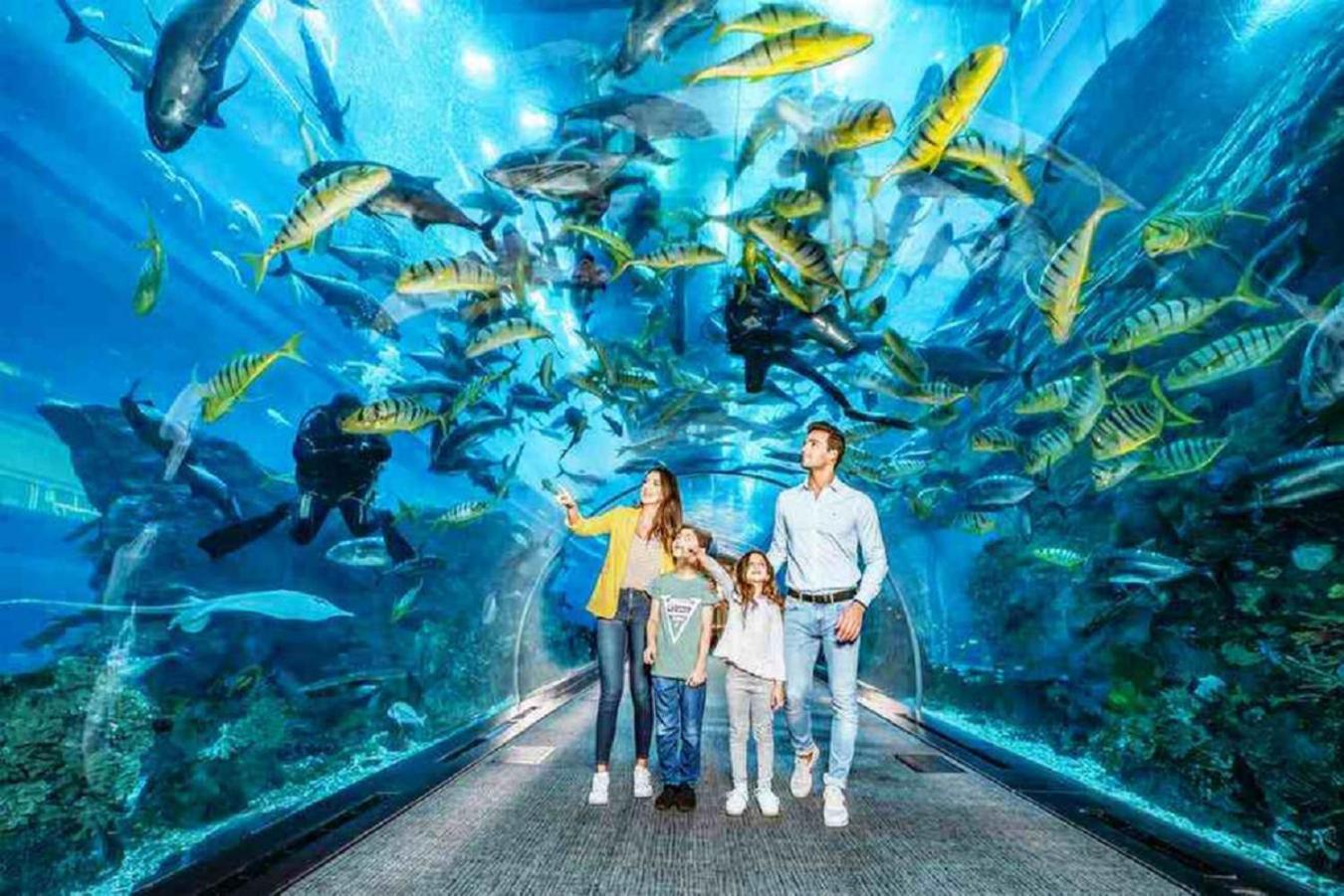 Acquario 11 Lägenhet Genua Exteriör bild